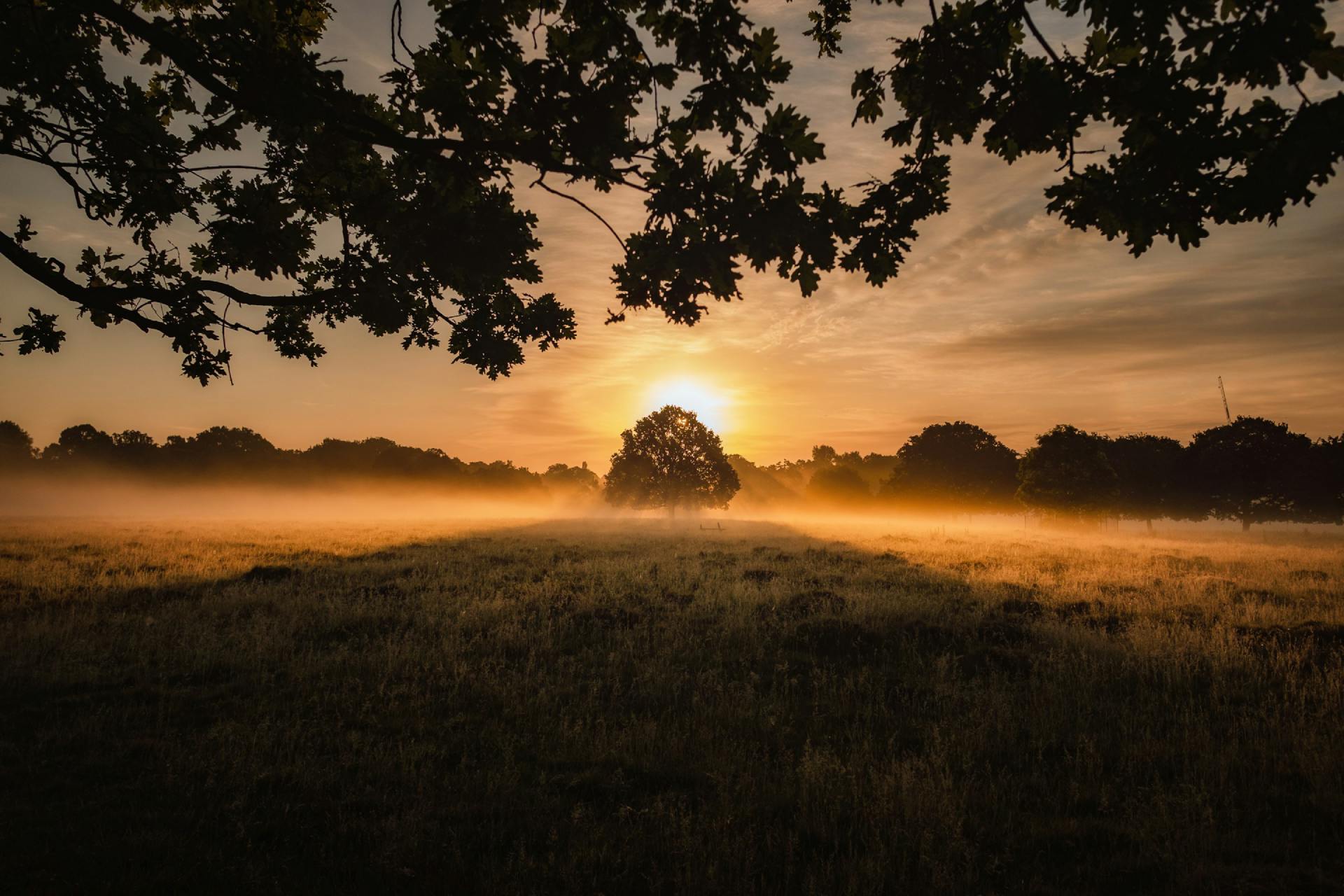 Voyance personnalisée